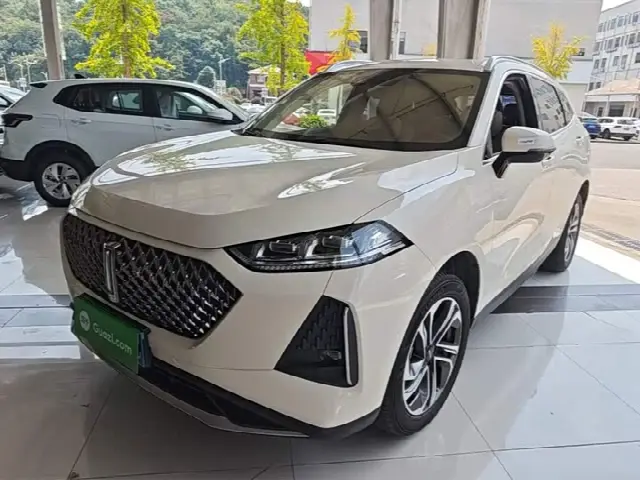 Wey Macchiato DHT 2021, 59 500 км