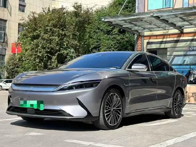 BYD Han 2020, 80 000 км