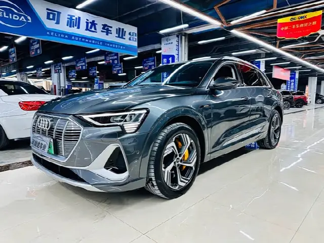 Audi e-tron 2021, 43 000 км