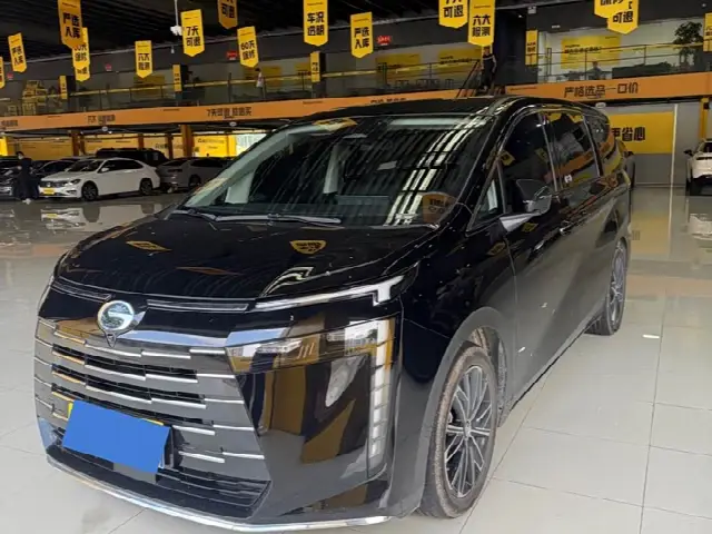 GAC Trumpchi E8 2024, 33 000 км