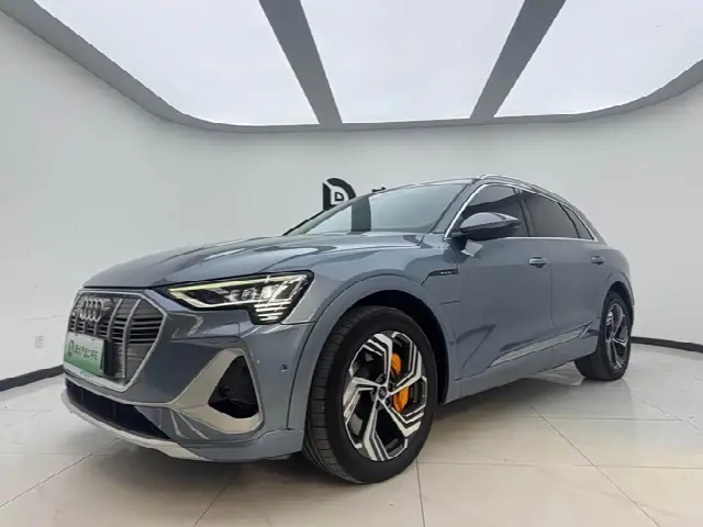 Audi e-tron 2021, 67 000 км