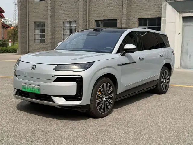 Denza N9 2025, 21 000 км