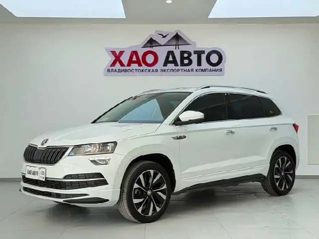 Skoda Karoq 2023, 25 000 км