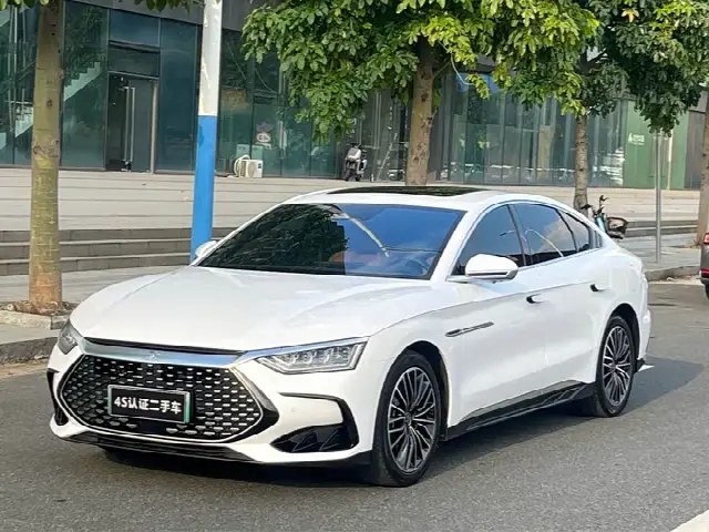 BYD Han 2022, 66 000 км