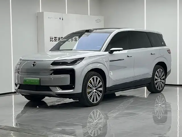 Denza N9 2025, 21 000 км