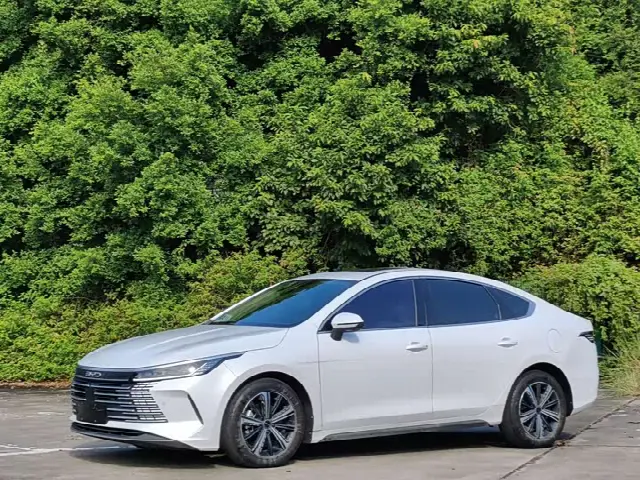 BYD Destroyer 05 2022, 63 000 км