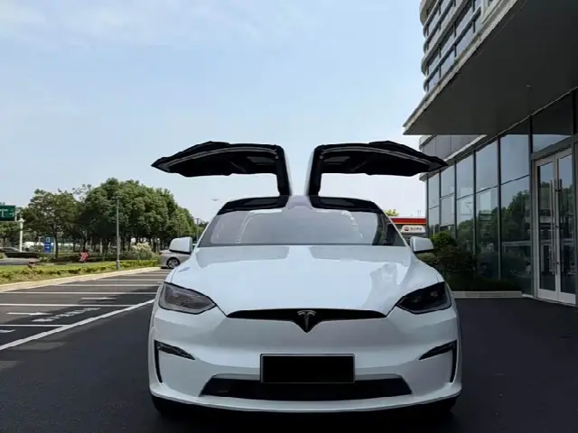 Tesla Model X 2023, 70 000 км