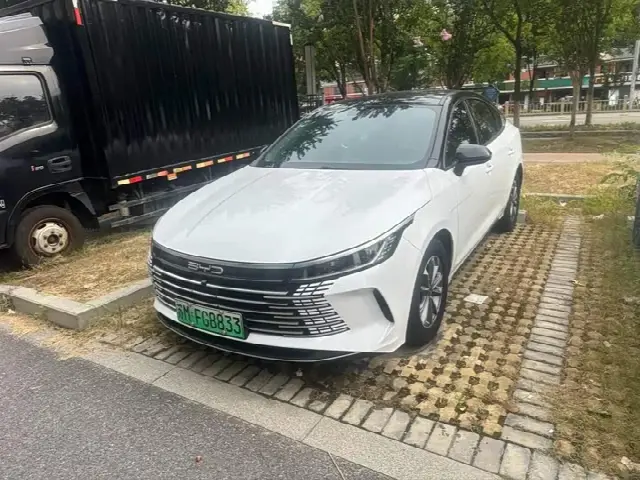 BYD Destroyer 05 2024, 20 000 км