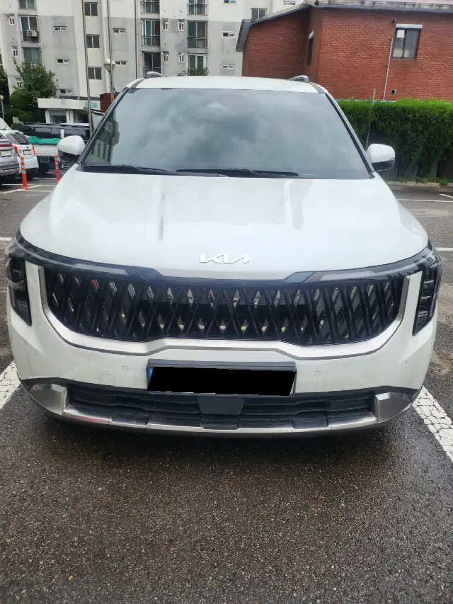 Kia Carnival 2023, 46 000 км