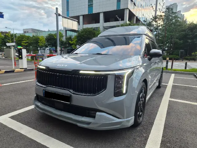 Kia Carnival 2023, 46 000 км