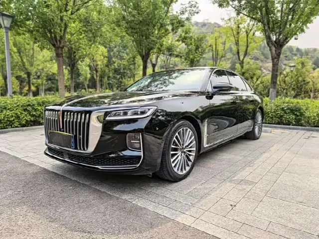 Hongqi H9 2020, 100 000 км