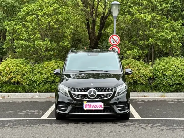 Mercedes-Benz V-Class 2021, 100 000 км