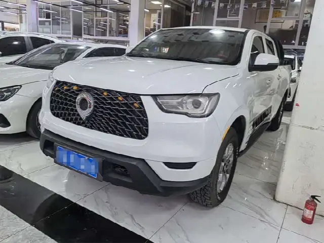 Great Wall Pao 2021, 89 000 км