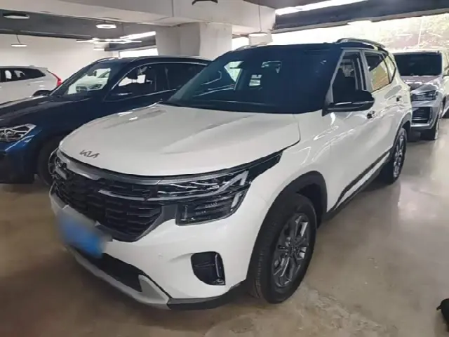 Kia Seltos 2023, 19 600 км