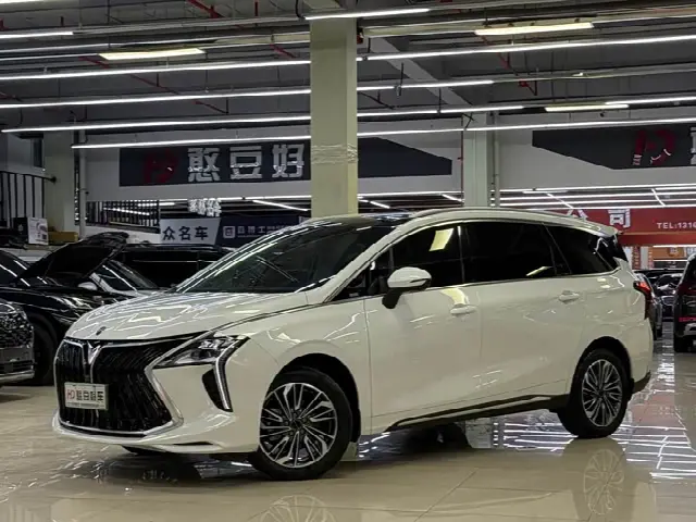 Dongfeng Forthing Yacht 2022, 11 000 км