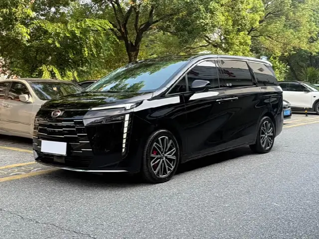 GAC Trumpchi E8 2024, 25 000 км