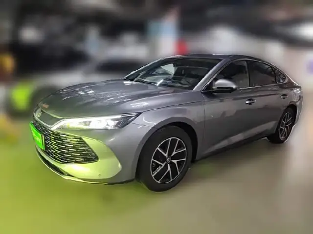 BYD Qin L 2024, 84 400 км