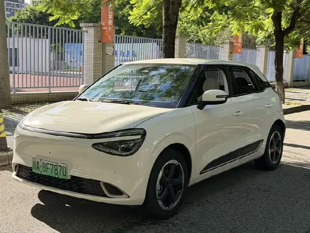 Dongfeng Yipai Nano 01 2024, 29 000 км