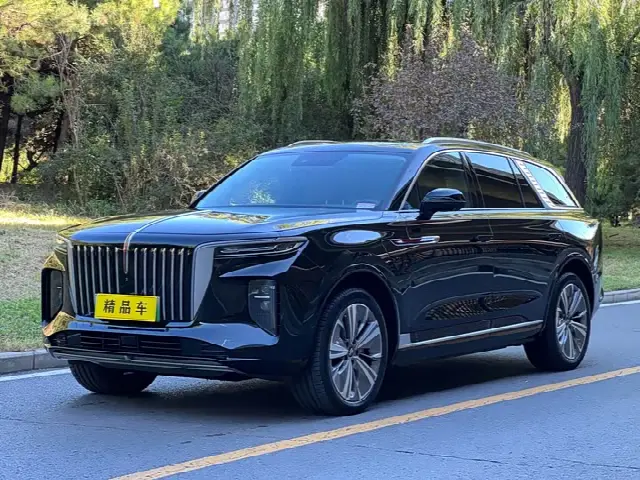 Hongqi E-HS9 2021, 11 000 км