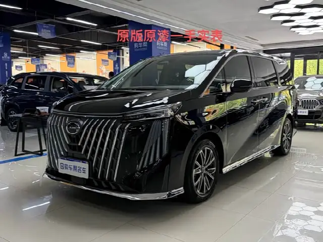 GAC Trumpchi M8 2024, 23 000 км