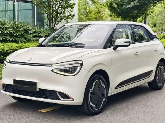 Dongfeng Yipai Nano 01 2024, 24 000 км