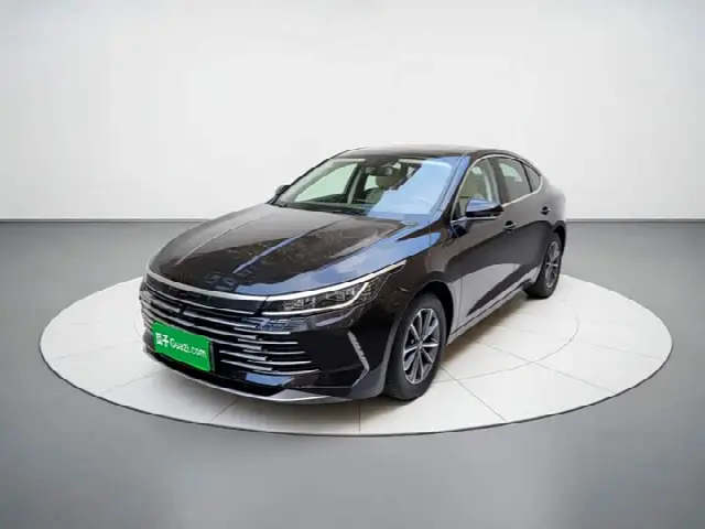 BYD Destroyer 05 2024, 22 600 км