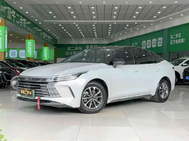 BYD Destroyer 05 2024, 30 000 км