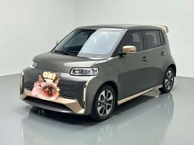 Ora White Cat 2022, 20 600 км