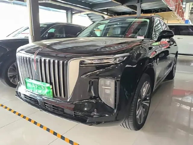 Hongqi E-HS9 2021, 10 100 км