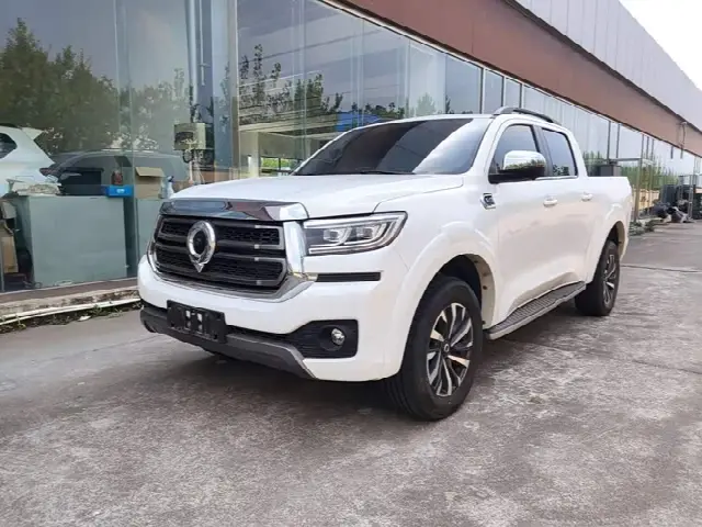 Great Wall Pao 2023, 20 400 км