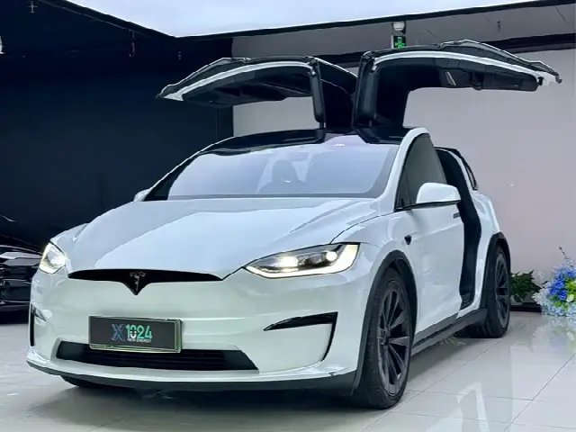 Tesla Model X 2023, 29 000 км