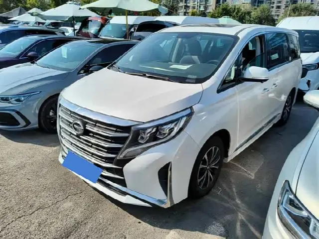 GAC Trumpchi M8 2021, 56 000 км