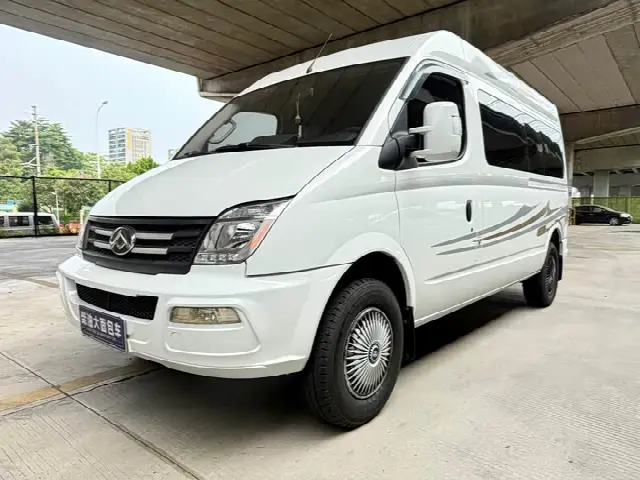 Maxus V80 2023, 81 000 км