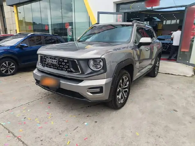 Haval H-Dog 2023, 44 200 км