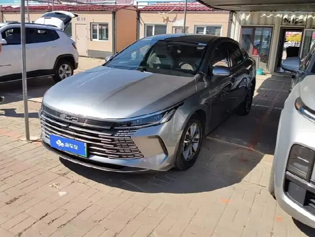 BYD Destroyer 05 2024, 36 800 км