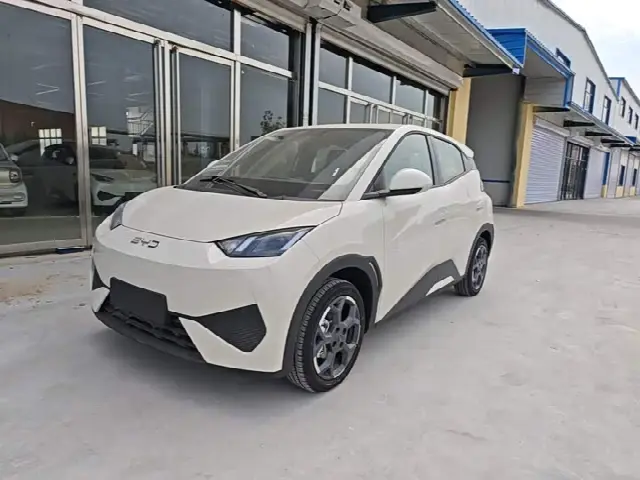 BYD Seagull 2025, новый