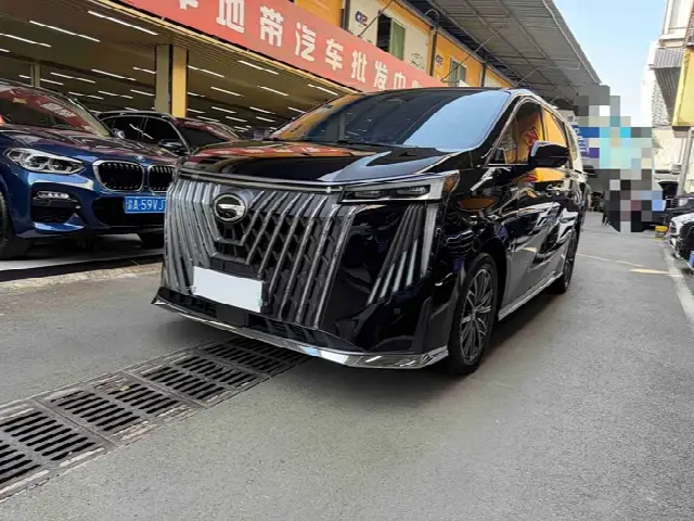 GAC Trumpchi M8 2024, 48 000 км
