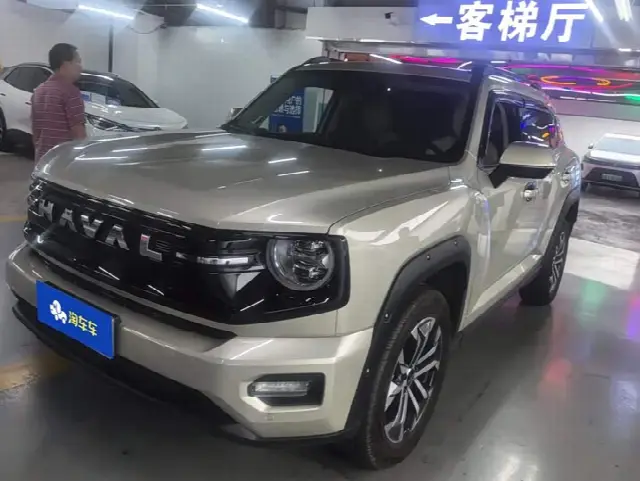 Haval H-Dog 2023, 7 600 км