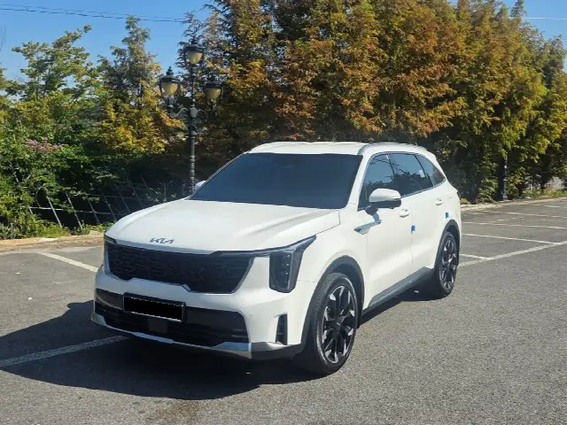 Kia Sorento 2023, 11 134 км