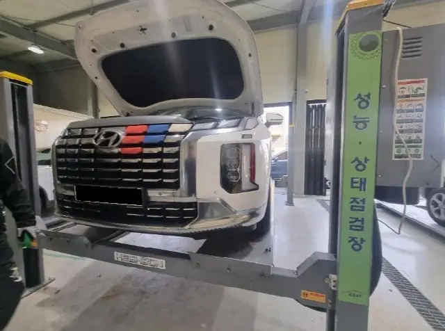 Hyundai Palisade 2022, 51 279 км
