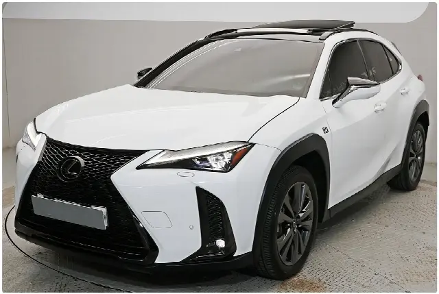 Lexus UX 2019, 55 719 км