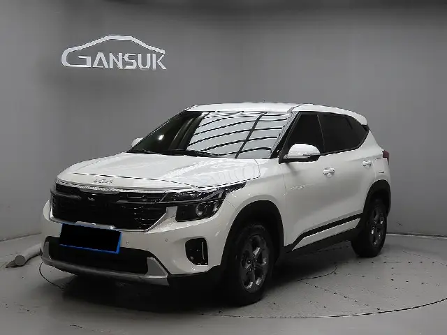 Kia Seltos 2022, 29 763 км