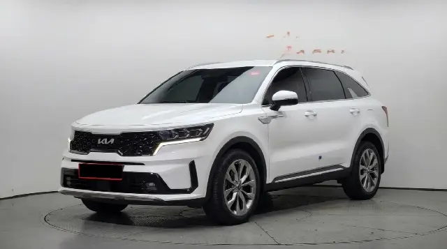 Kia Sorento 2020, 58 704 км