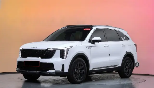 Kia Sorento 2023, 17 895 км