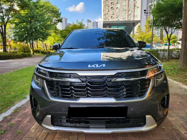 Kia Seltos 2022, 21 769 км
