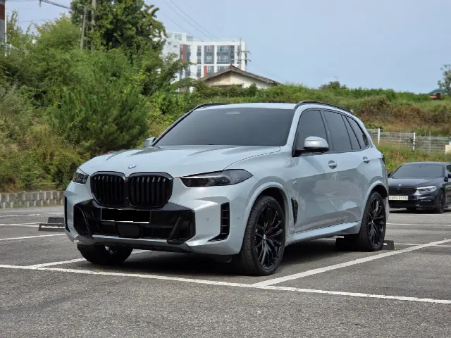 BMW X5 2019, 4 000 км