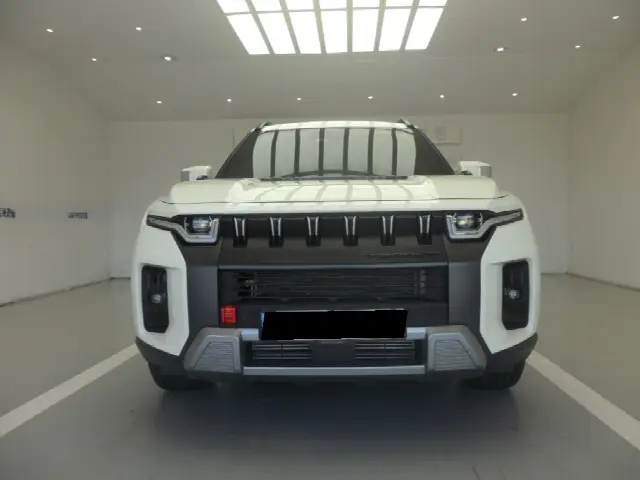 KGM Torres 2022, 40 022 км