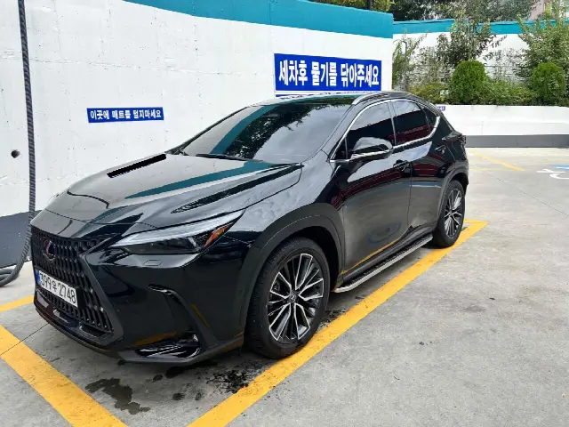Lexus NX 2022, 3 100 км