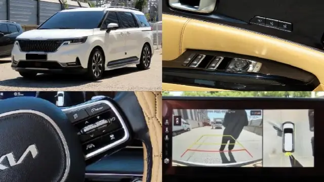 Kia Carnival 2020, 47 100 км