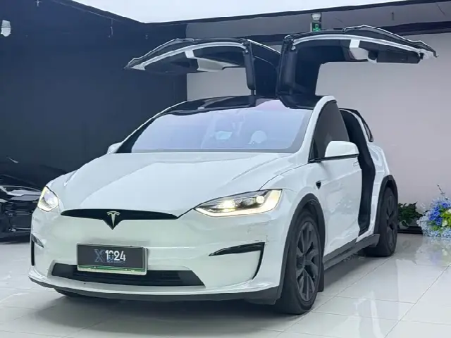 Tesla Model X 2023, 22 000 км
